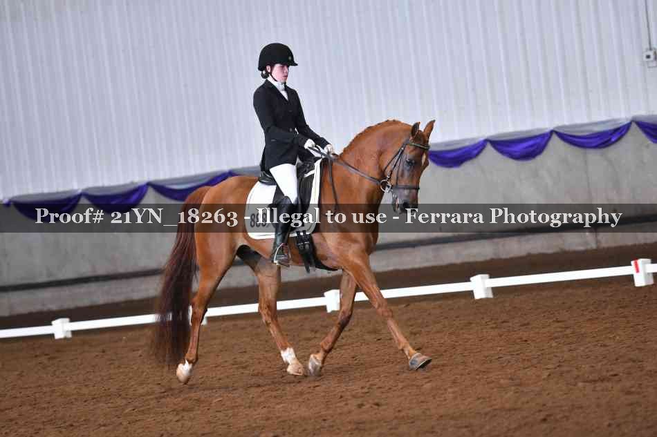 Proof 21YN_18263