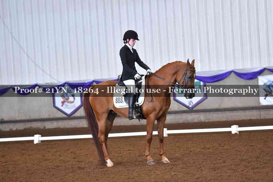 Proof 21YN_18264