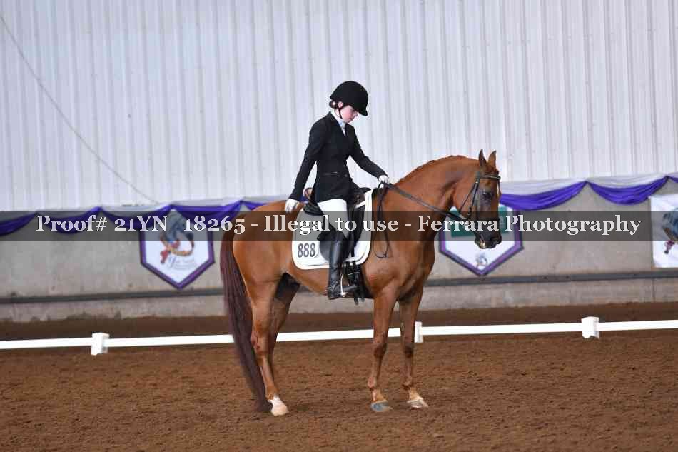 Proof 21YN_18265