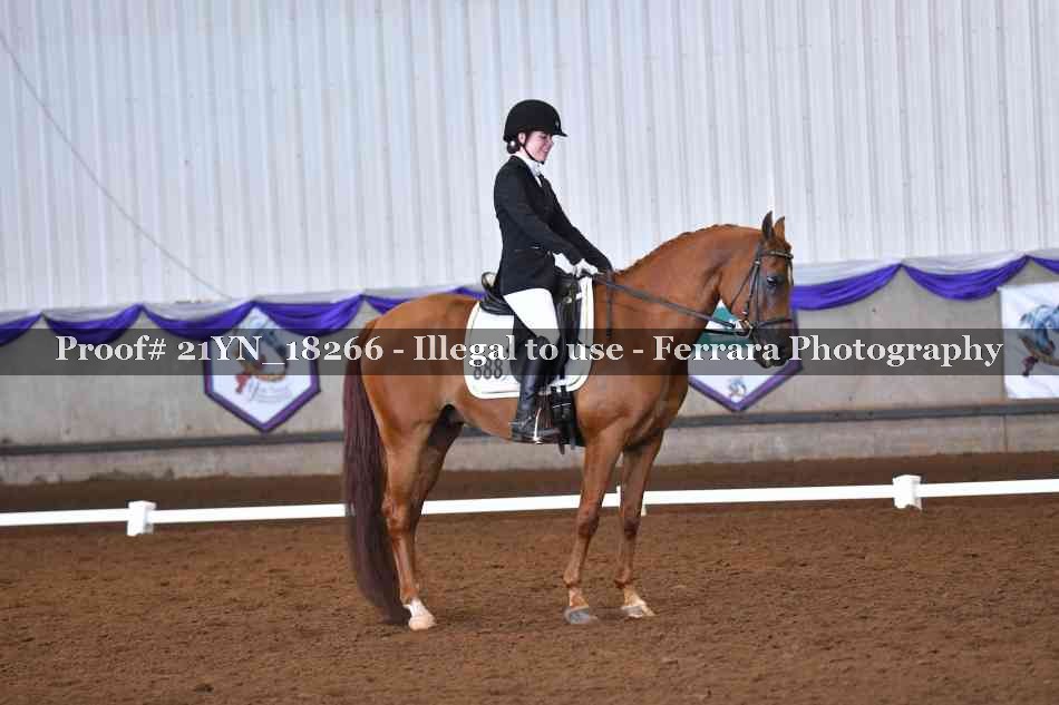 Proof 21YN_18266