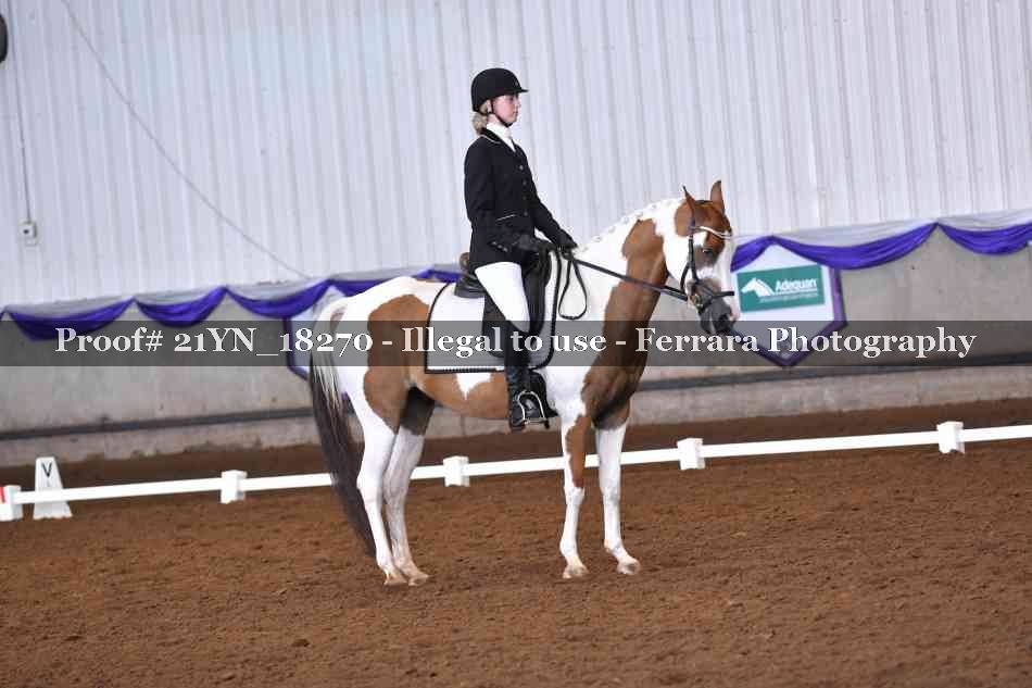 Proof 21YN_18270