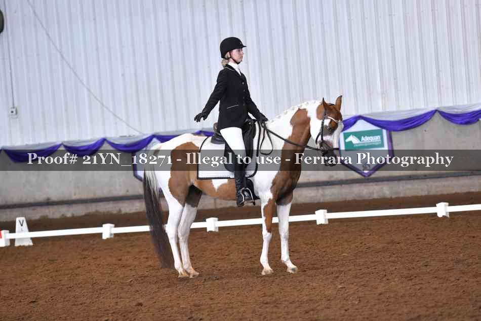 Proof 21YN_18271