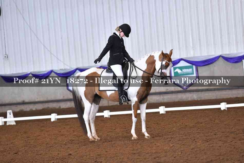 Proof 21YN_18272