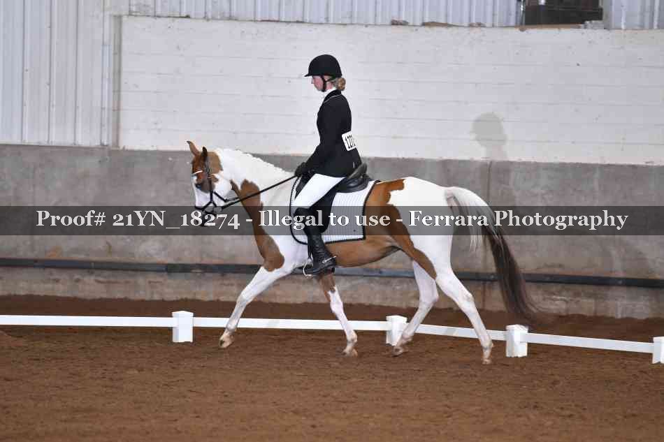 Proof 21YN_18274