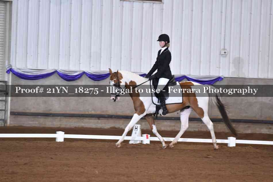 Proof 21YN_18275