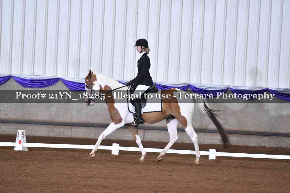 Proof 21YN_18285