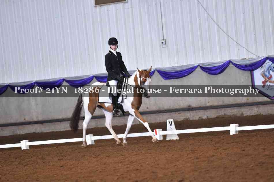 Proof 21YN_18286