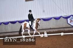21YN_18286 proof
