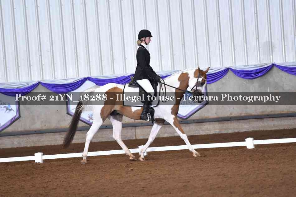 Proof 21YN_18288
