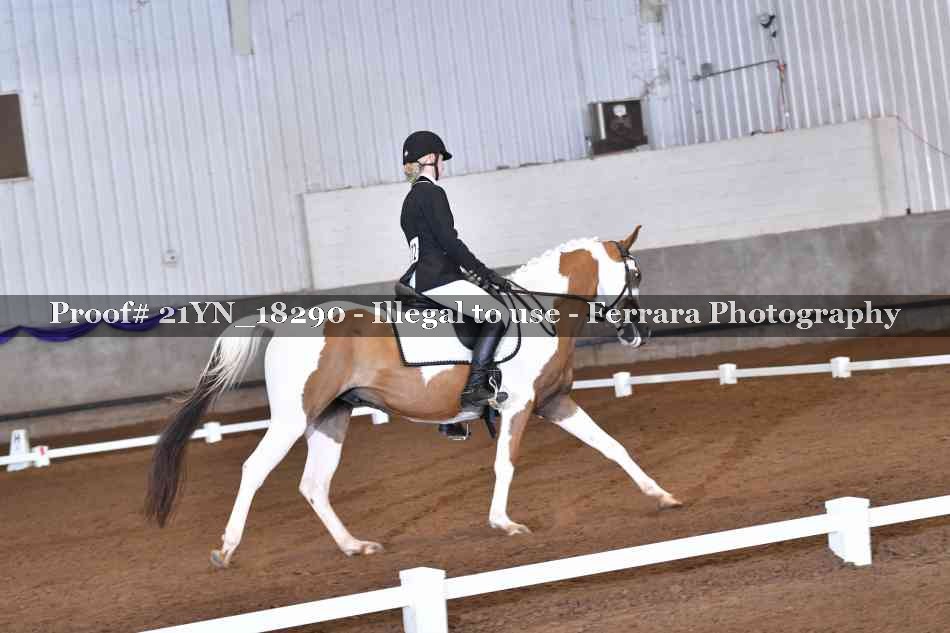 Proof 21YN_18290