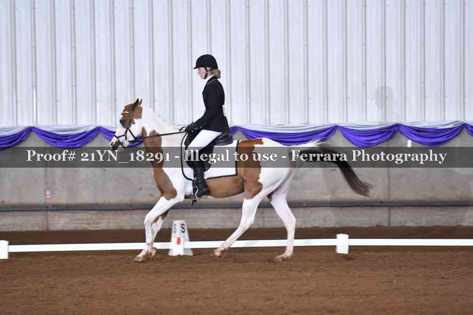Proof 21YN_18291