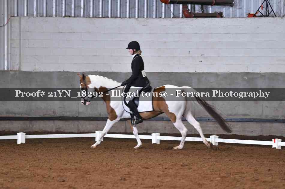 Proof 21YN_18292