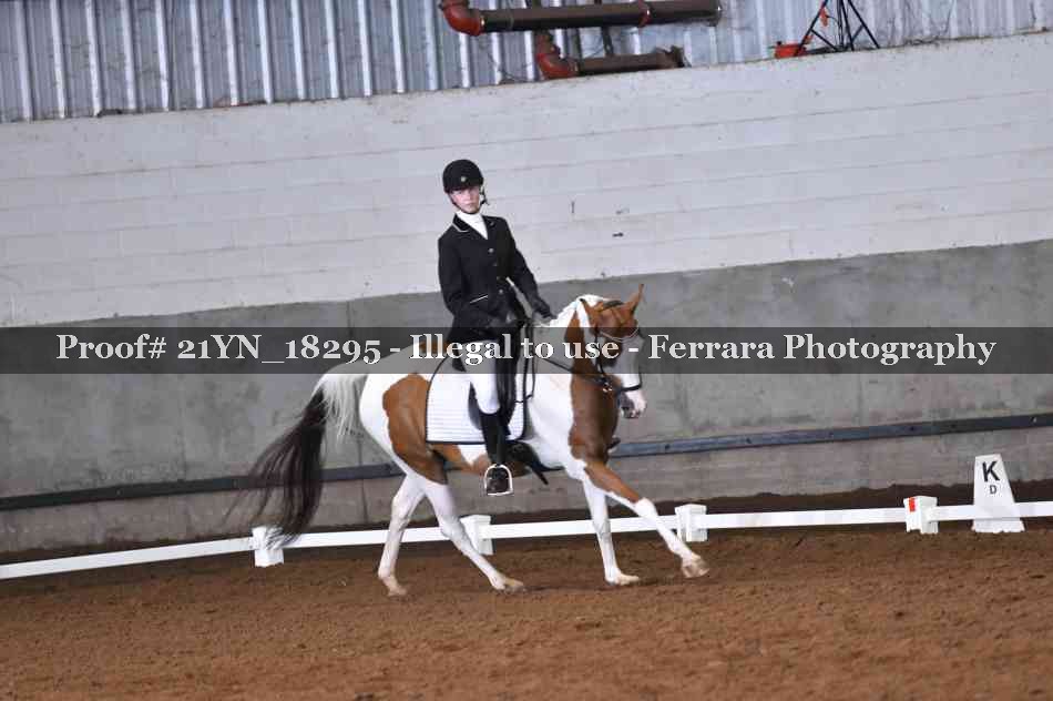 Proof 21YN_18295