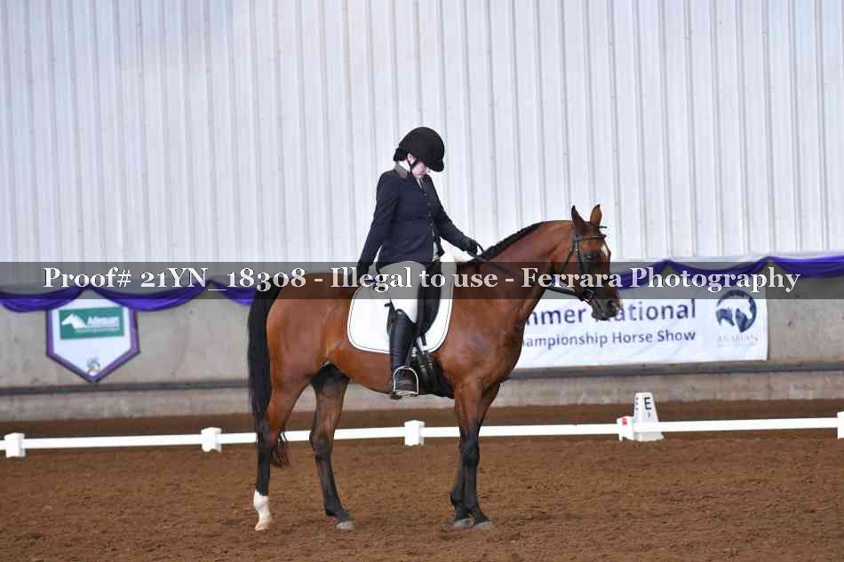 Proof 21YN_18308