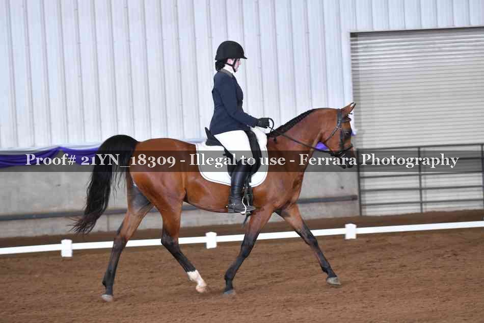 Proof 21YN_18309