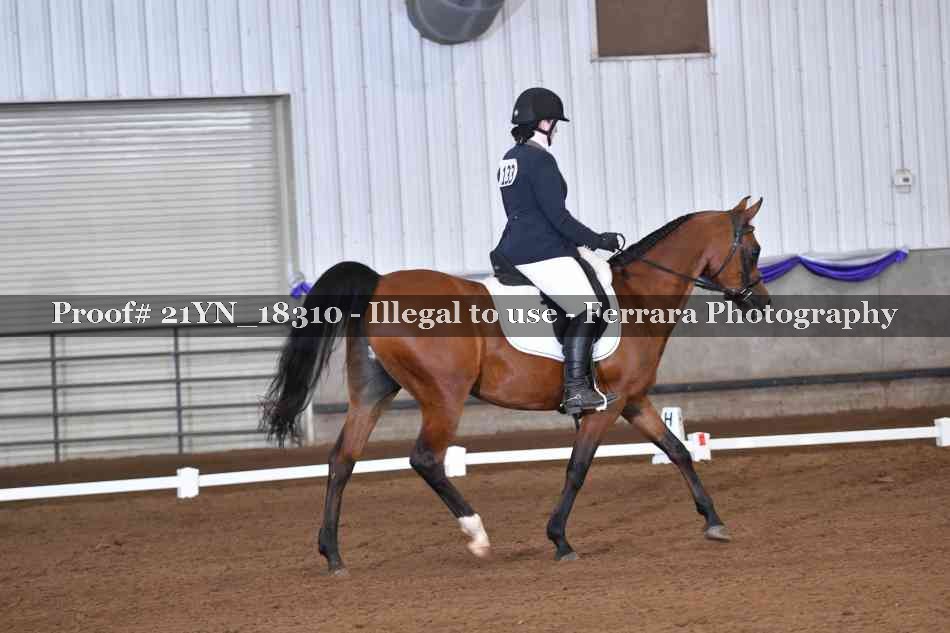 Proof 21YN_18310