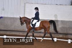 21YN_18311 proof