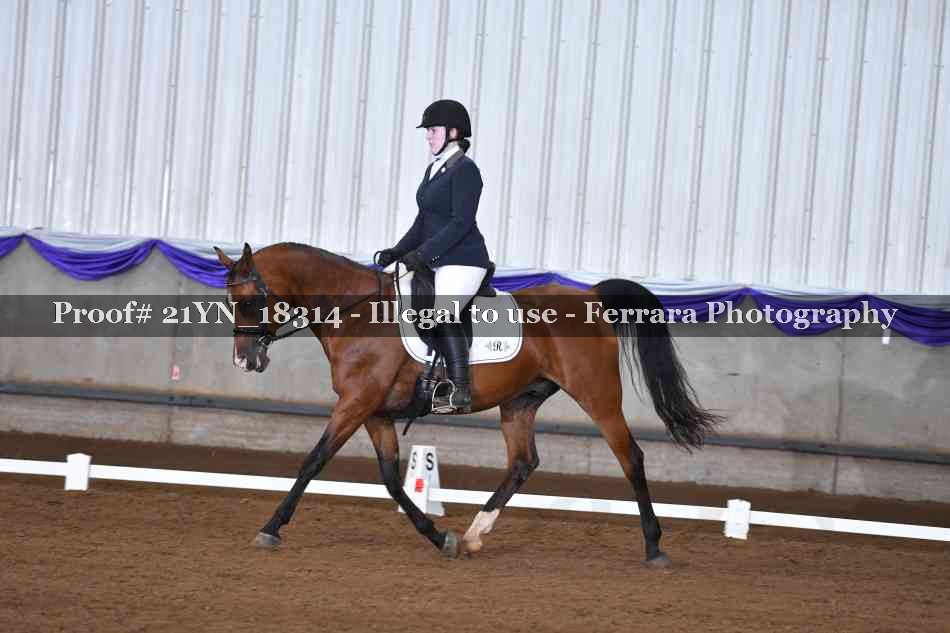 Proof 21YN_18314