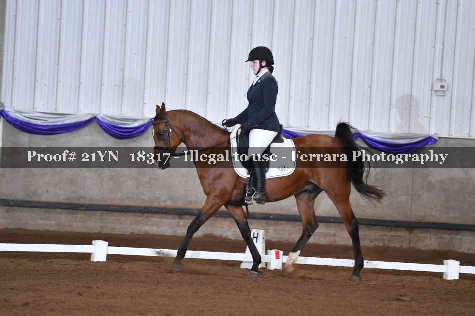 Proof 21YN_18317