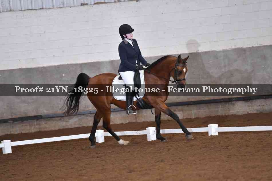 Proof 21YN_18325