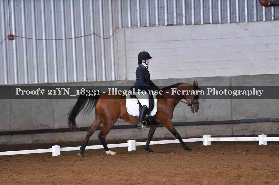 Proof 21YN_18331