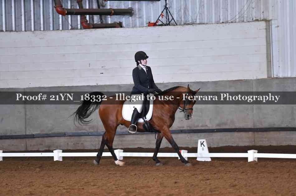 Proof 21YN_18332