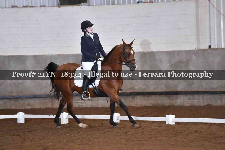 Proof 21YN_18334