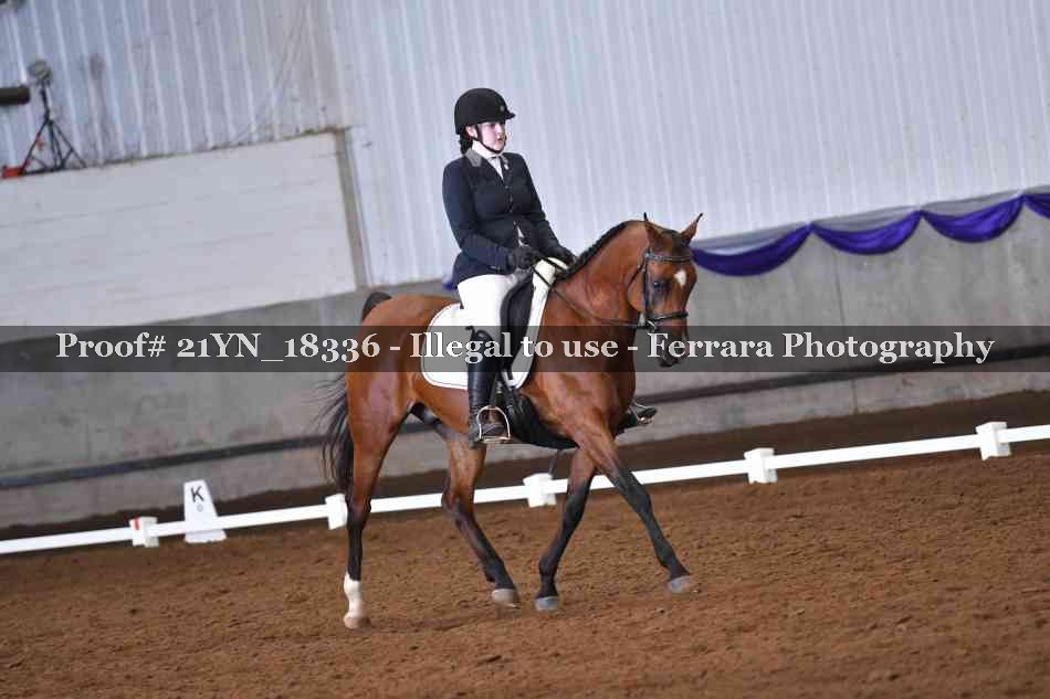 Proof 21YN_18336