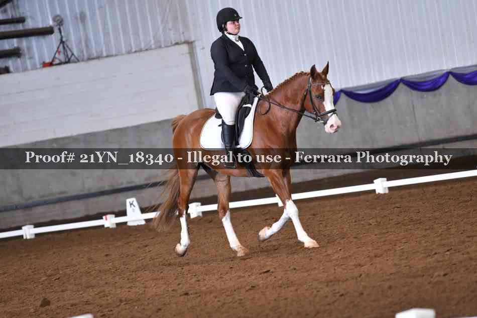 Proof 21YN_18340