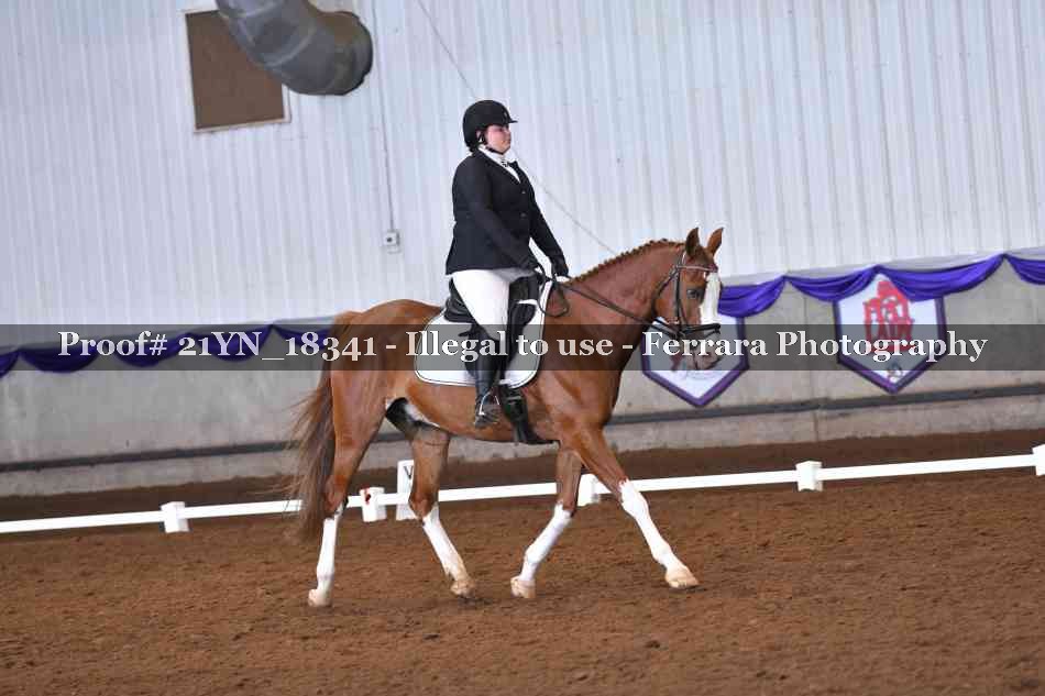 Proof 21YN_18341