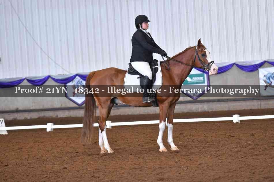 Proof 21YN_18342