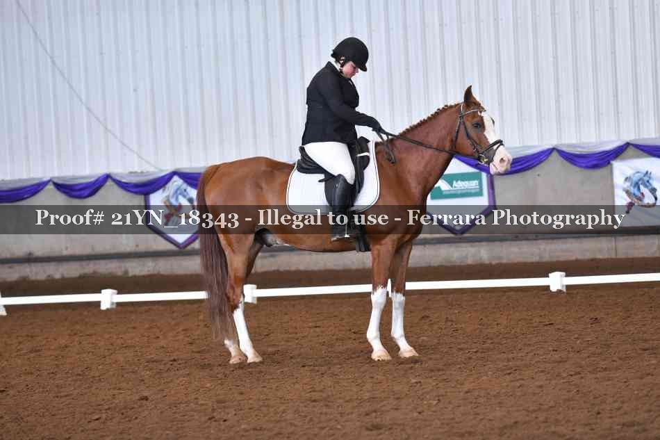 Proof 21YN_18343