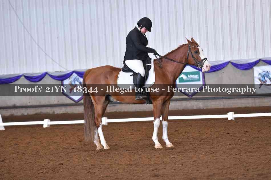 Proof 21YN_18344