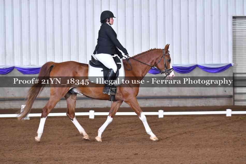 Proof 21YN_18345