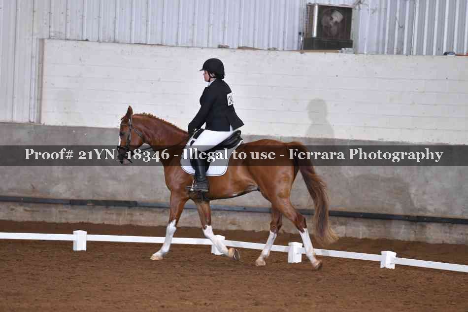 Proof 21YN_18346