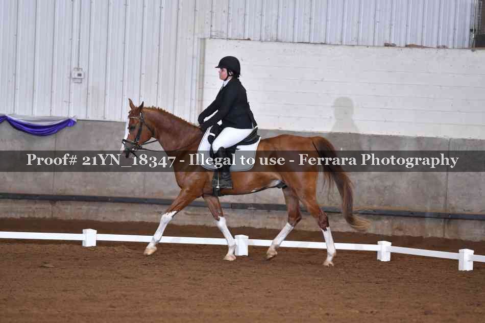 Proof 21YN_18347