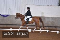21YN_18347 proof