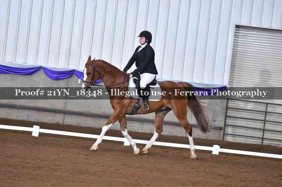 Proof 21YN_18348