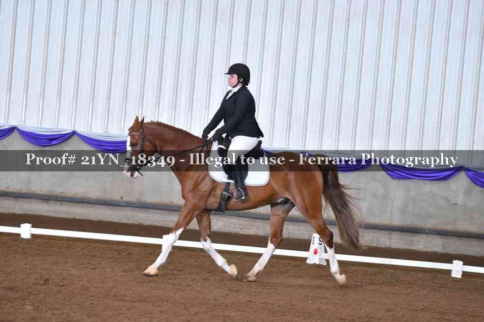 Proof 21YN_18349