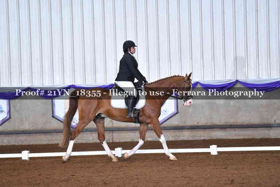 Proof 21YN_18355