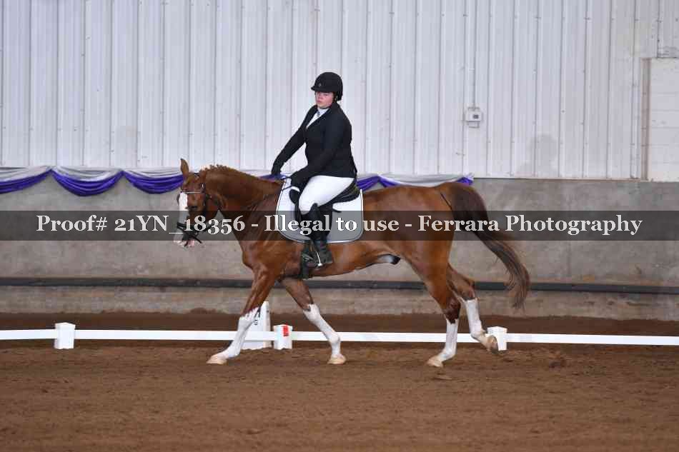 Proof 21YN_18356