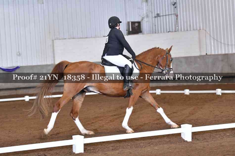 Proof 21YN_18358