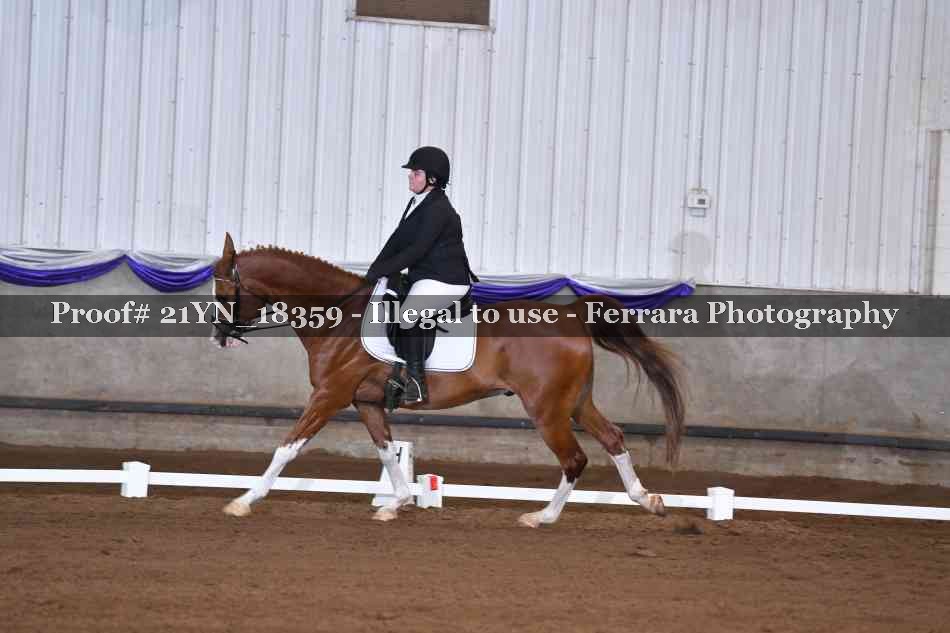 Proof 21YN_18359