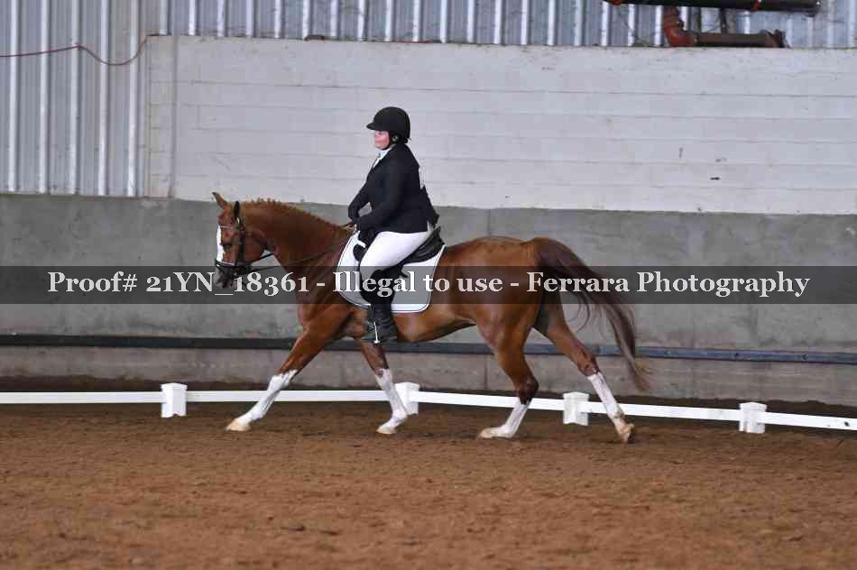 Proof 21YN_18361