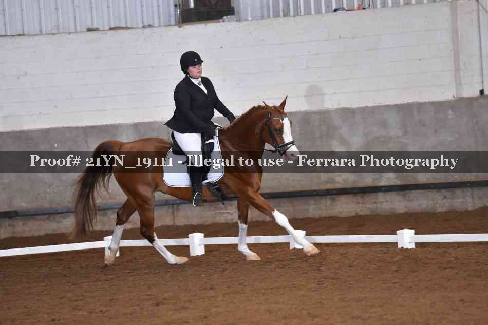 Proof 21YN_19111