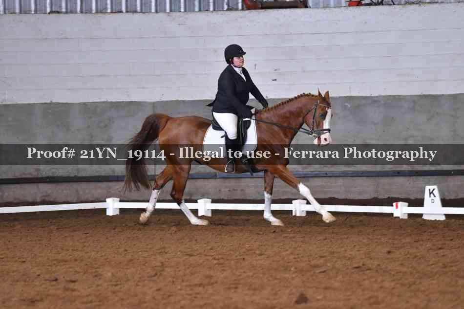 Proof 21YN_19114