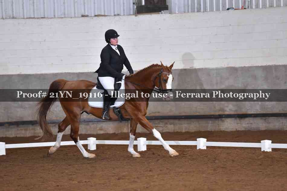 Proof 21YN_19116