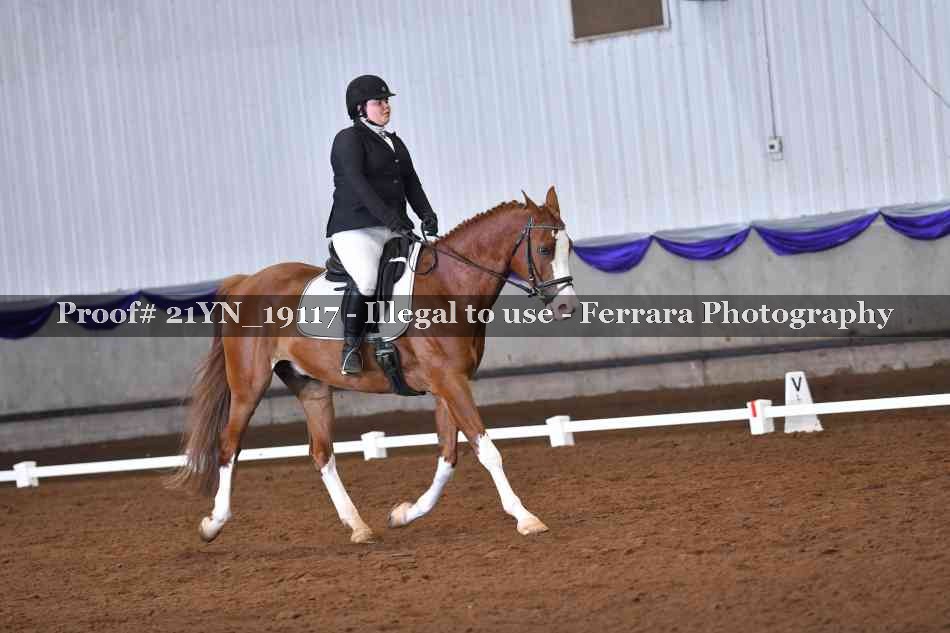 Proof 21YN_19117