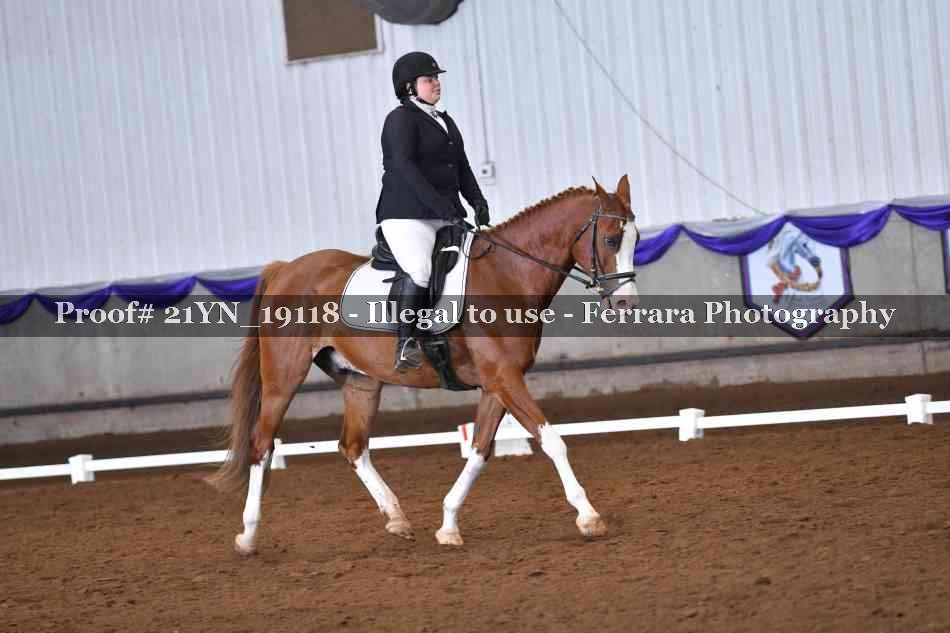 Proof 21YN_19118