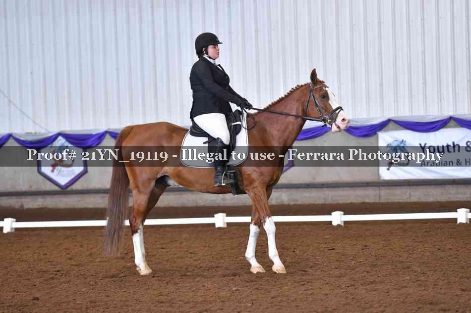 Proof 21YN_19119
